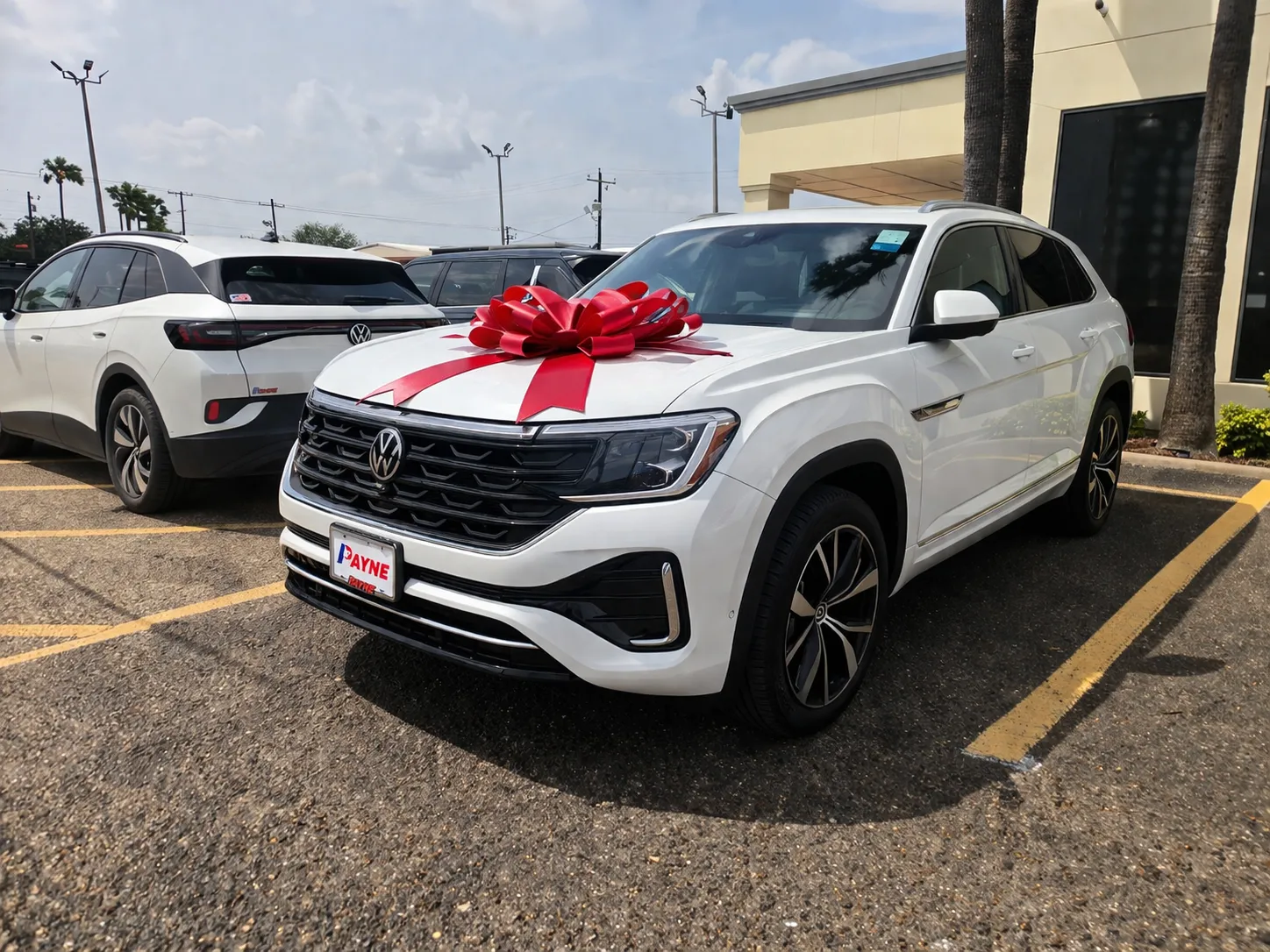 Kimberly's cross sport 