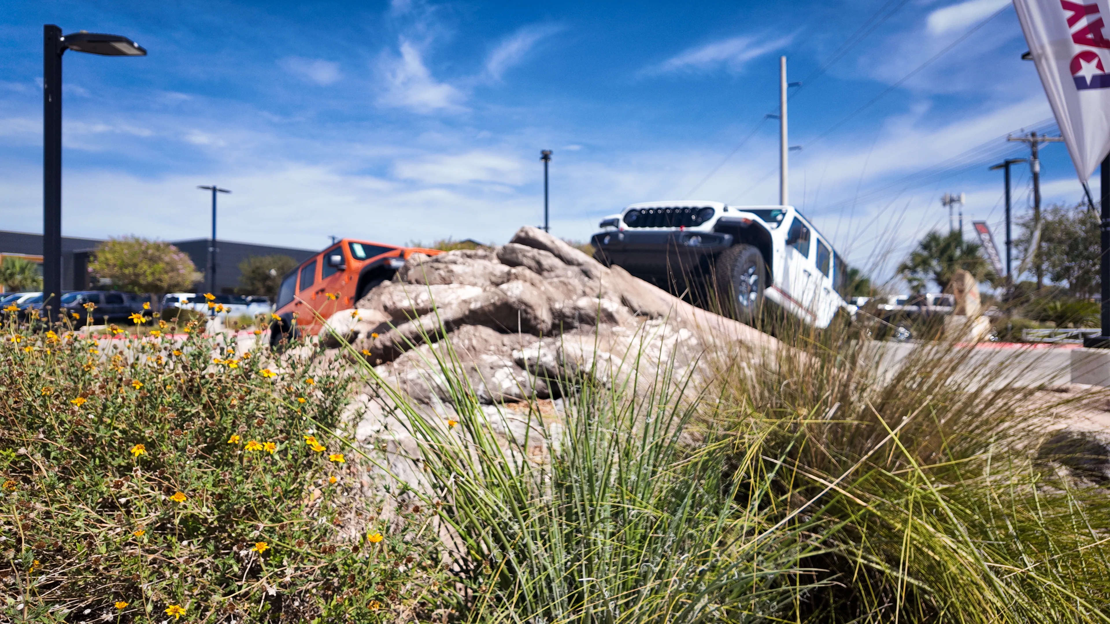 Jeep Wranglers Spotted in the Wild