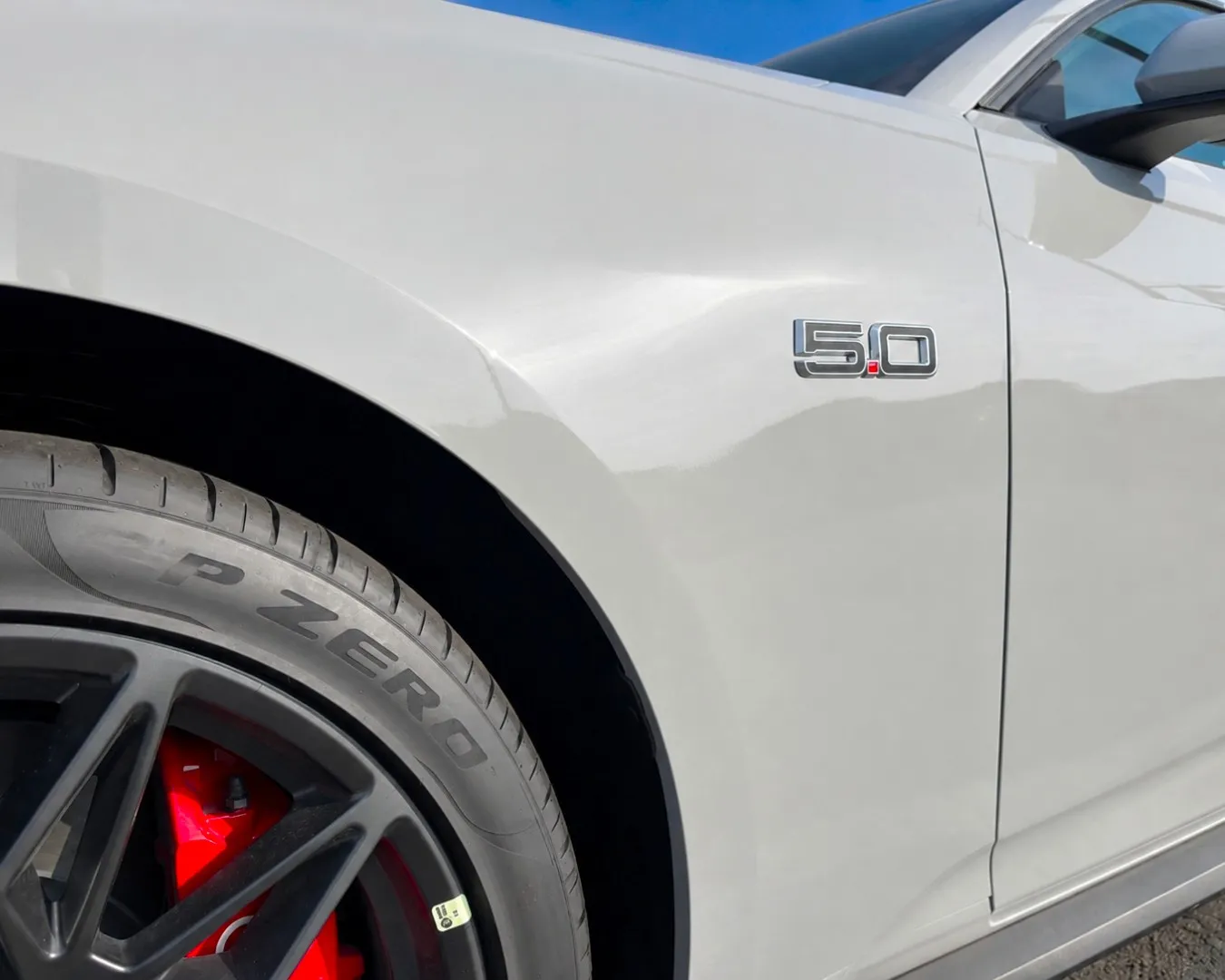 Mustangs
