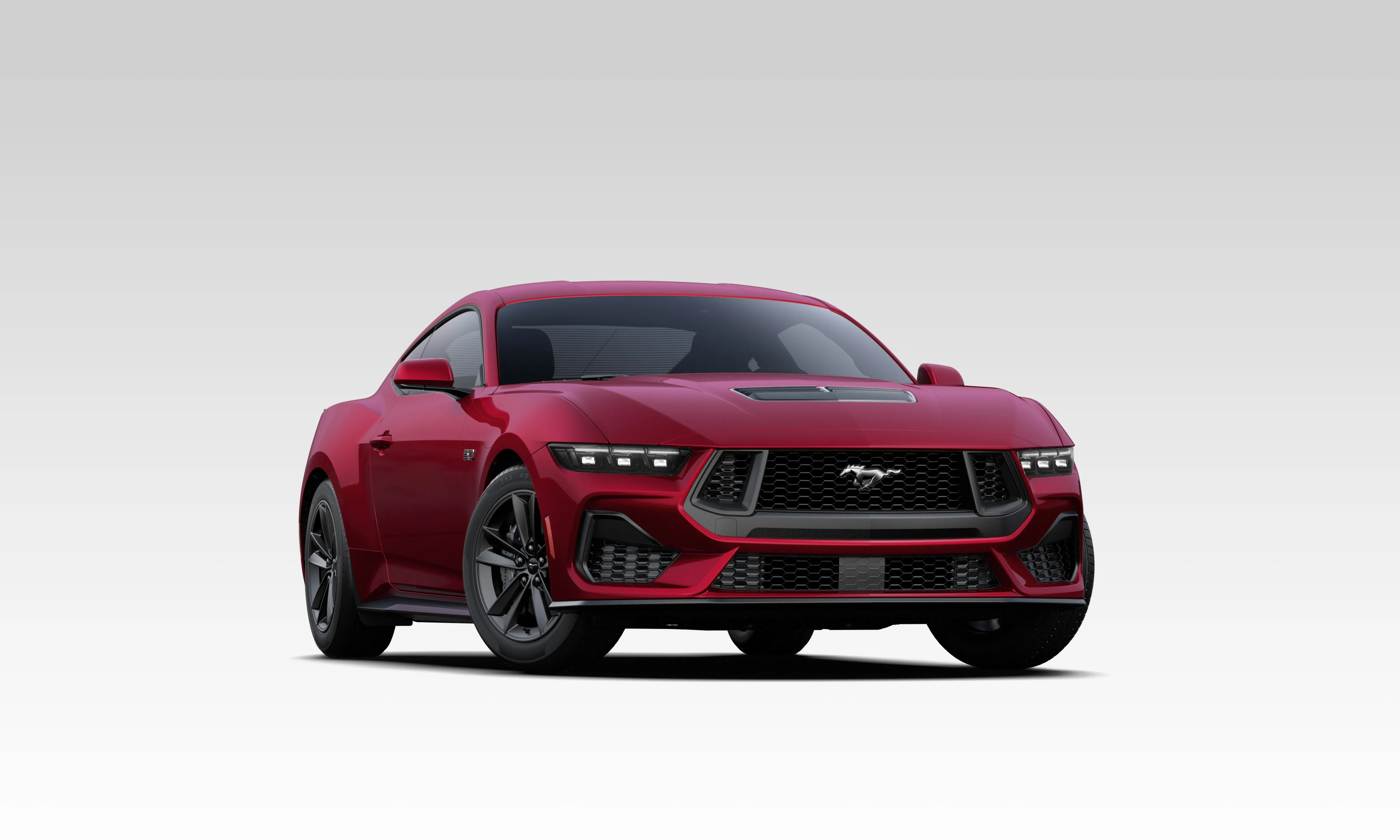 Mustang